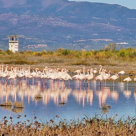 Flamingo View Suites & Villas Неа Потидея Екстериор снимка
